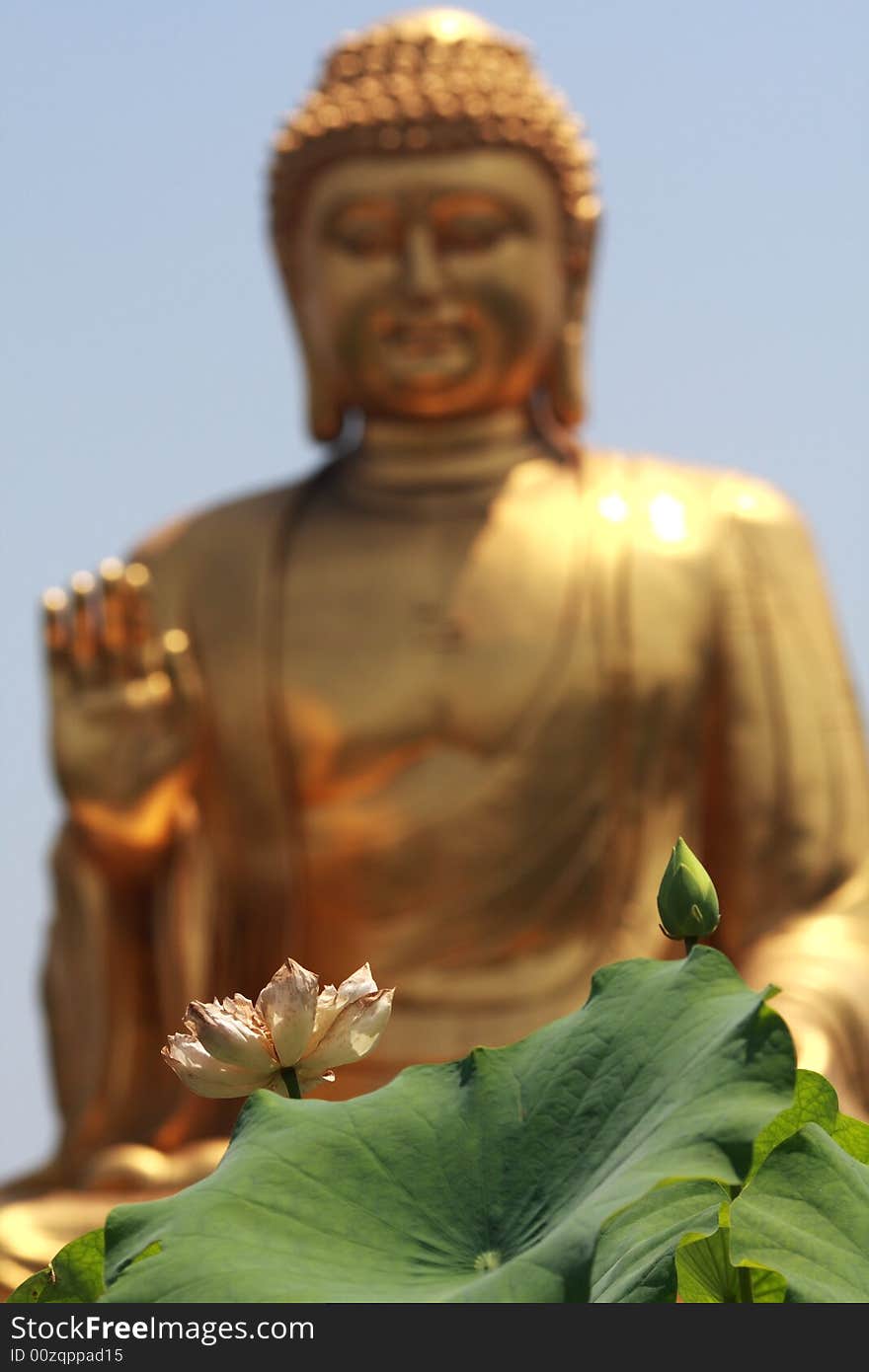 Lotus before buddha in huayan temple,china