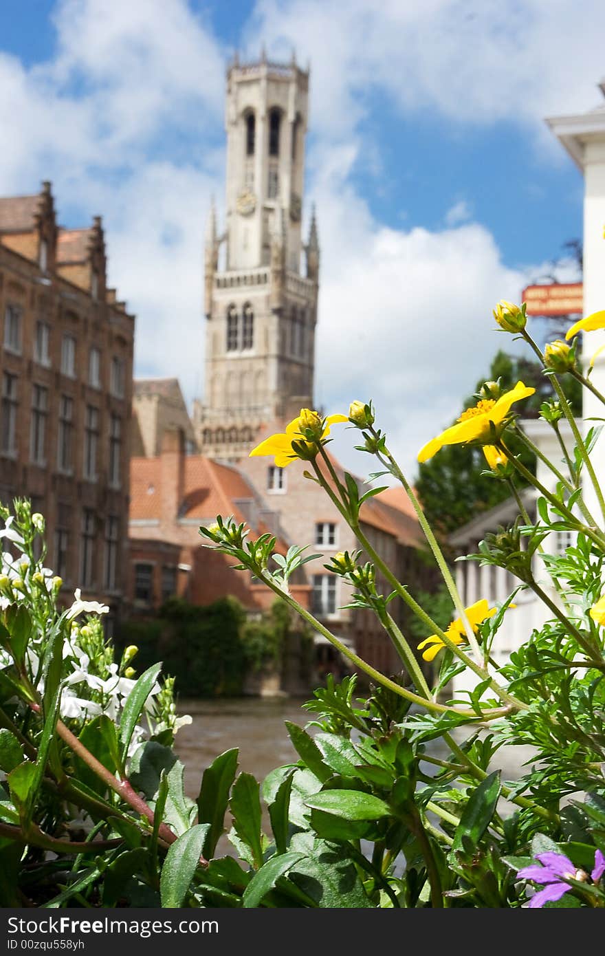 The Belfry and the Cloth Hall with flowers