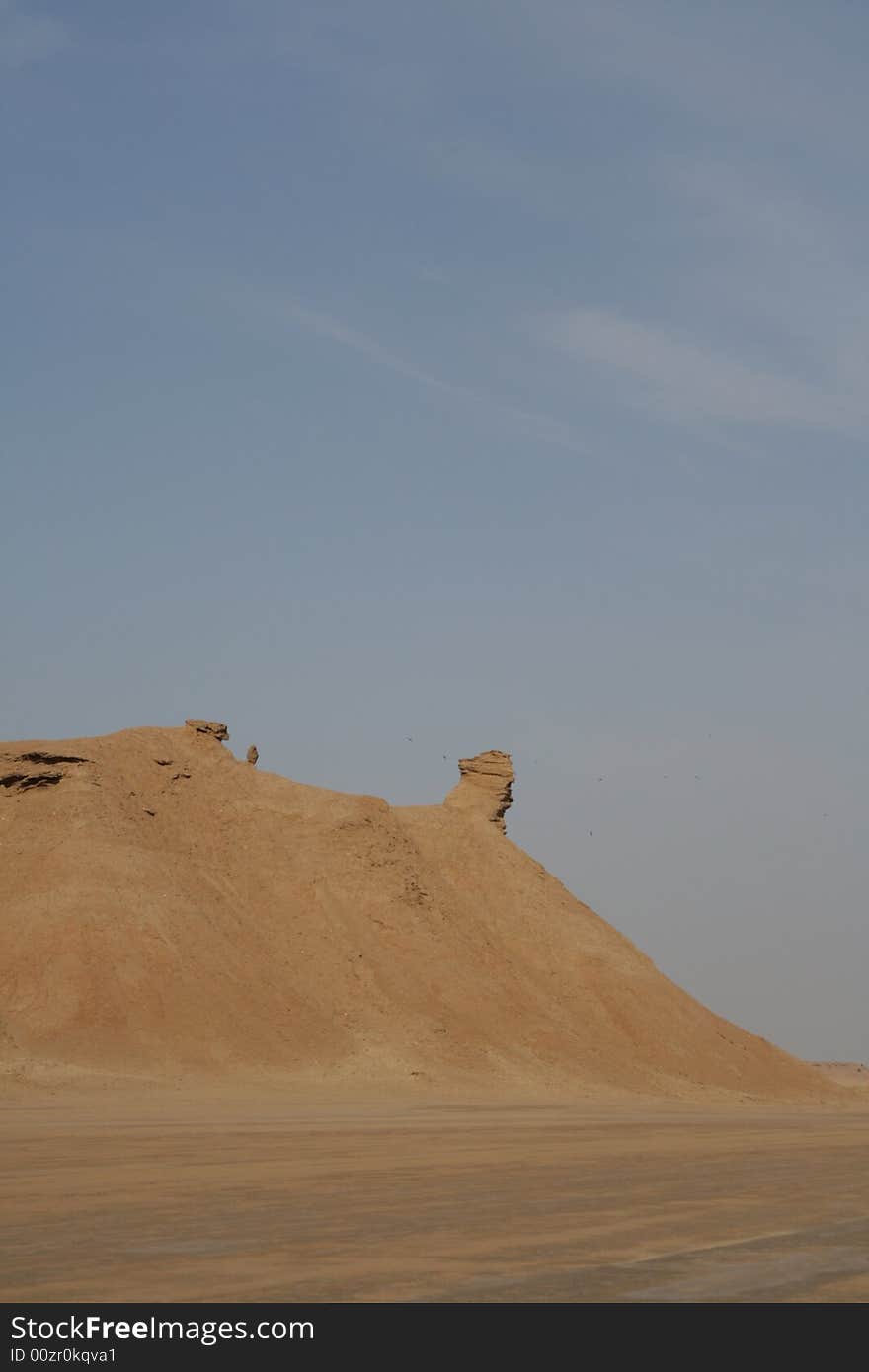 NECK CAMEL SAHARA TUNISIA