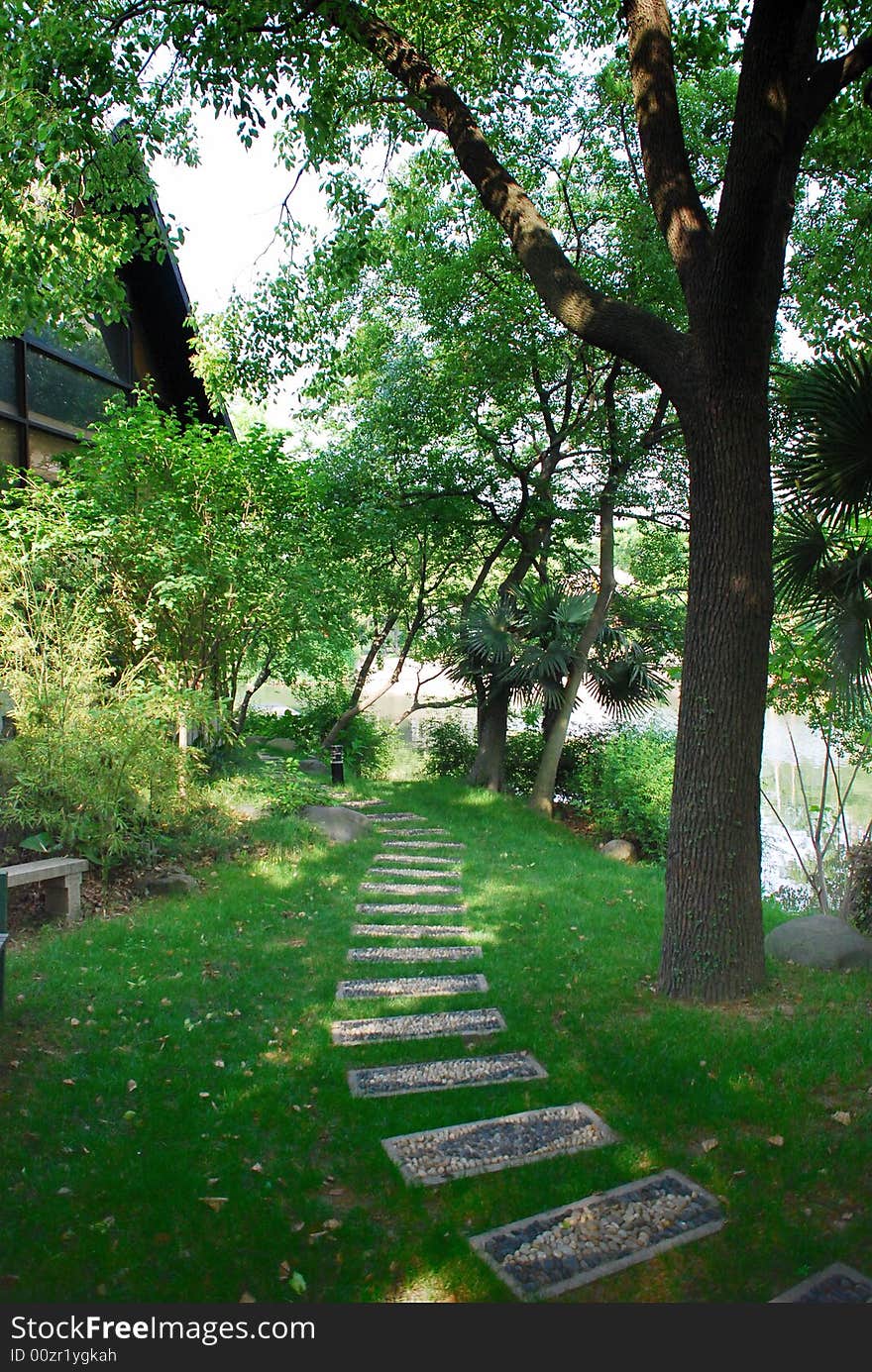 road at  village garden