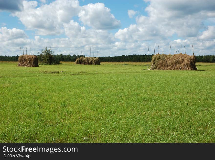 Haystacks on a pasture