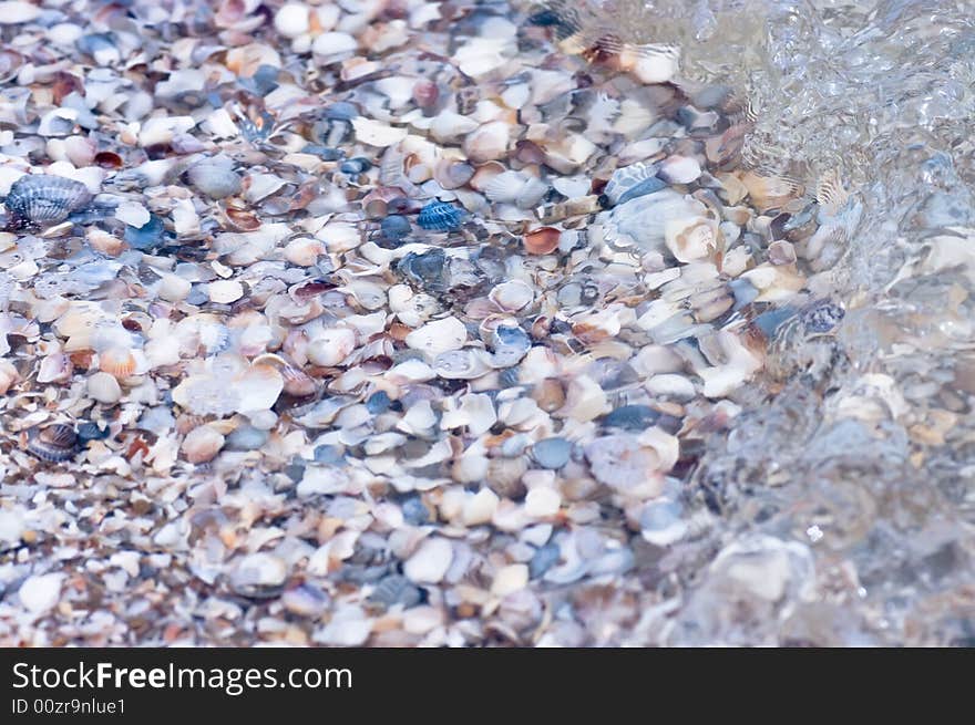 Sea wave on the beach. Sea wave on the beach