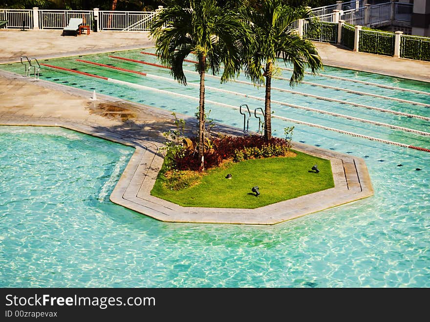 Plam trees in the middle of pool. Plam trees in the middle of pool