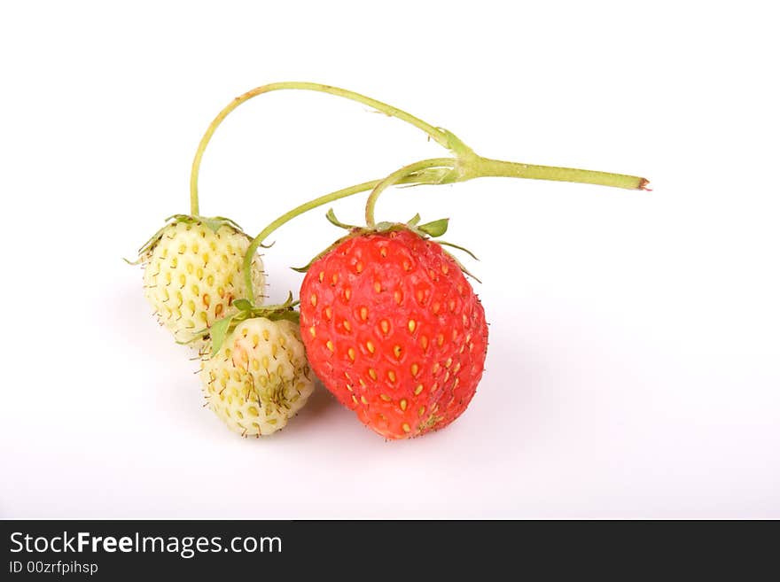 Strawberries on a branch isolated on white background