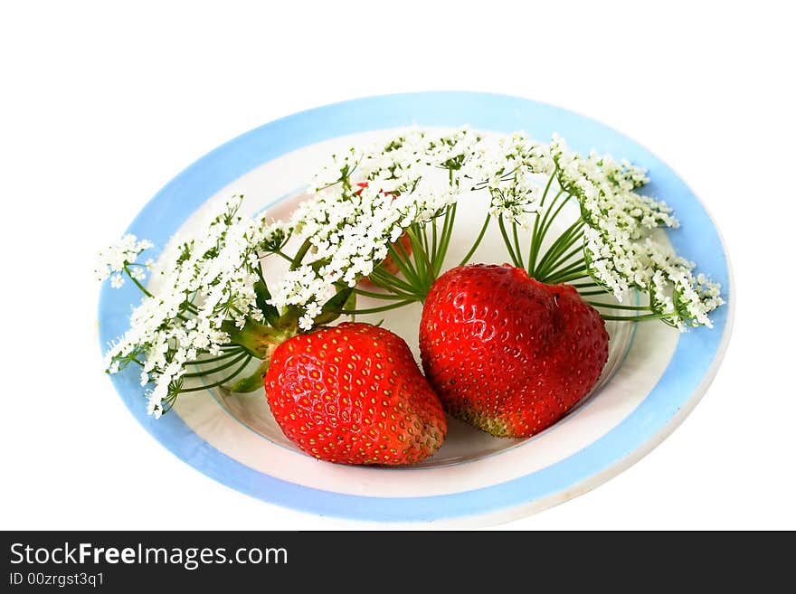 On a plate with the blue border shined with beams of the sun, the strawberry and white flowers lie