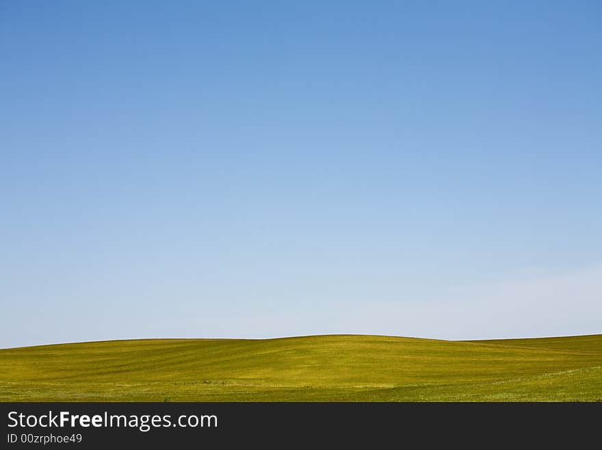 Green spring field with blue sky