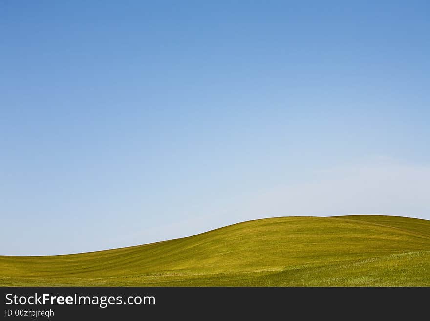 Green spring field with blue sky