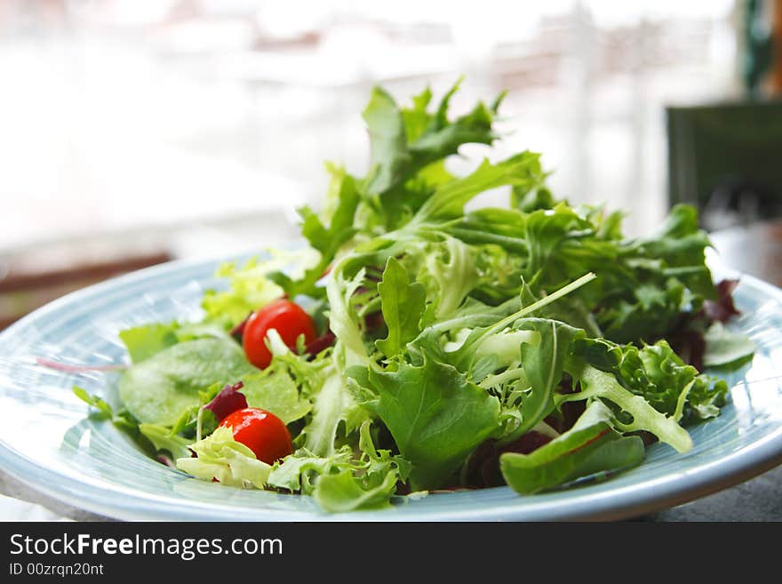 Green leaf salad with cherry tomato backlite