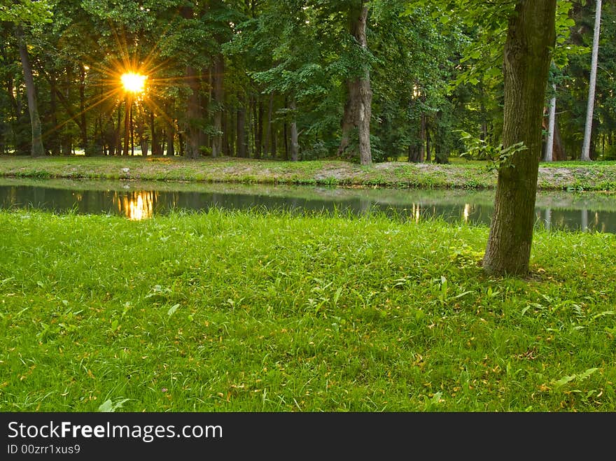 Sunset through trees and a small stream. Sunset through trees and a small stream