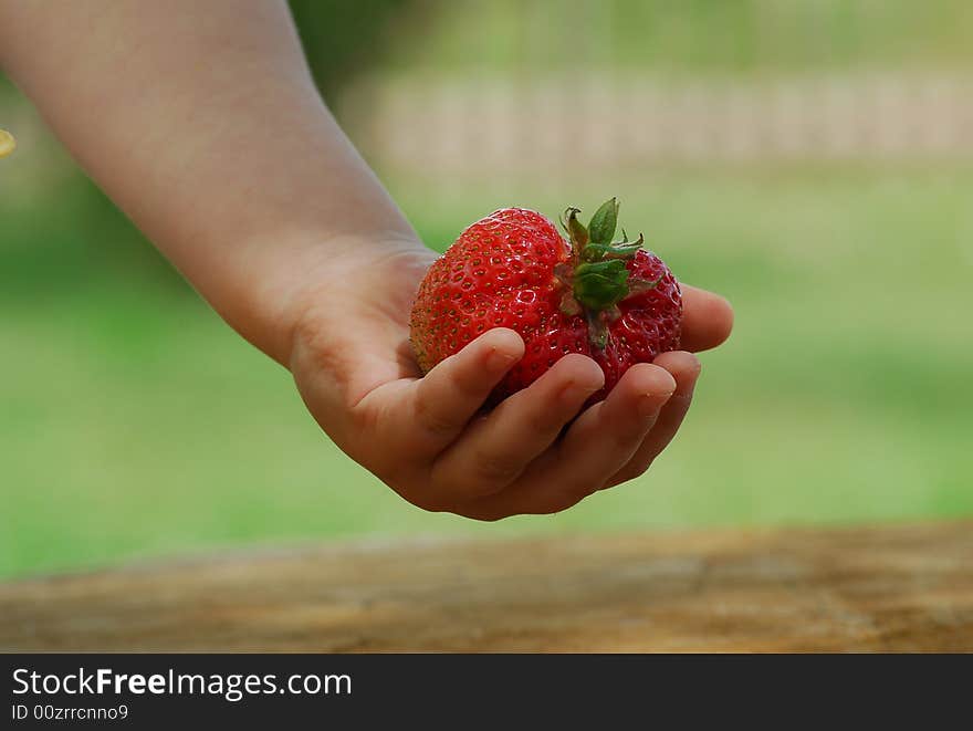 Big strawberry in childs' hand.