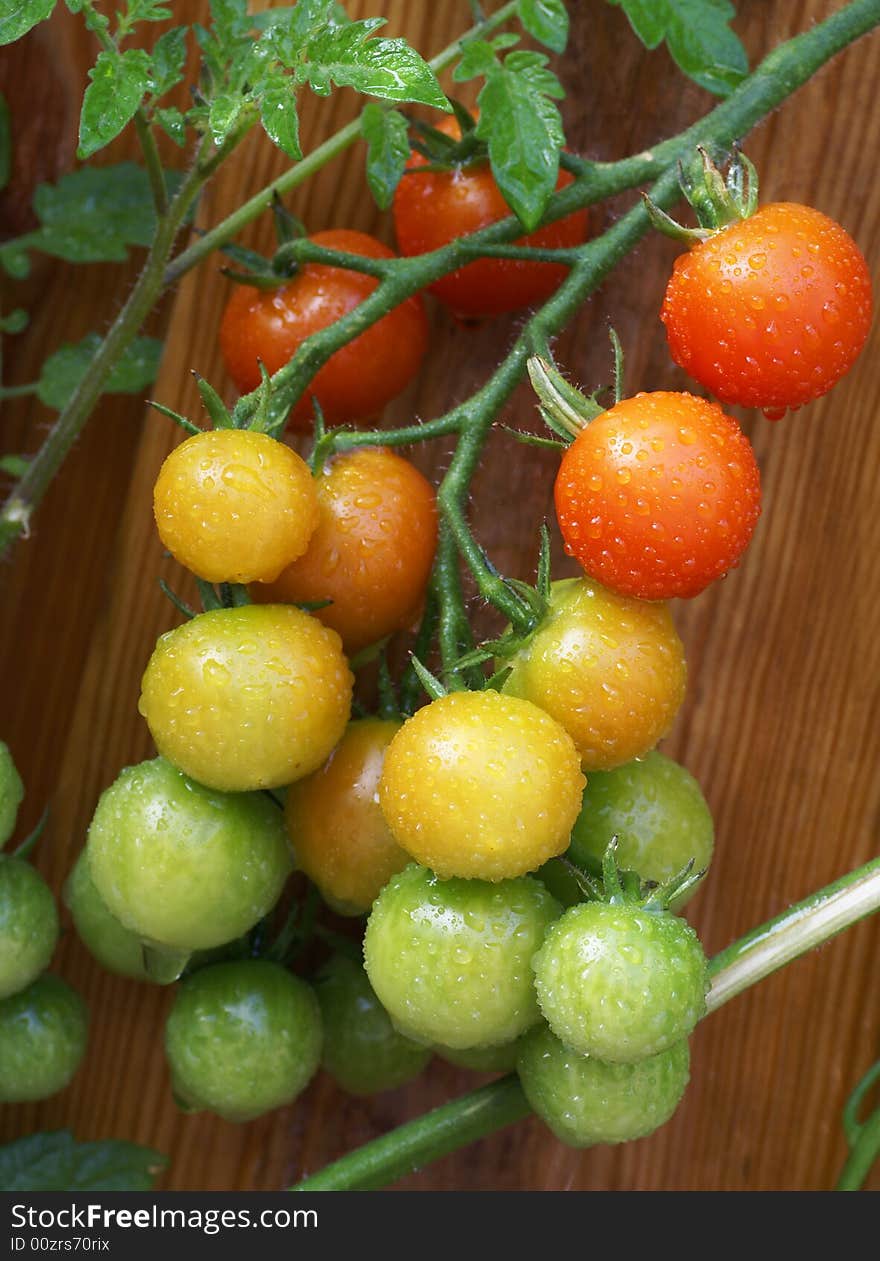 Tomatoes...almost Ripe.