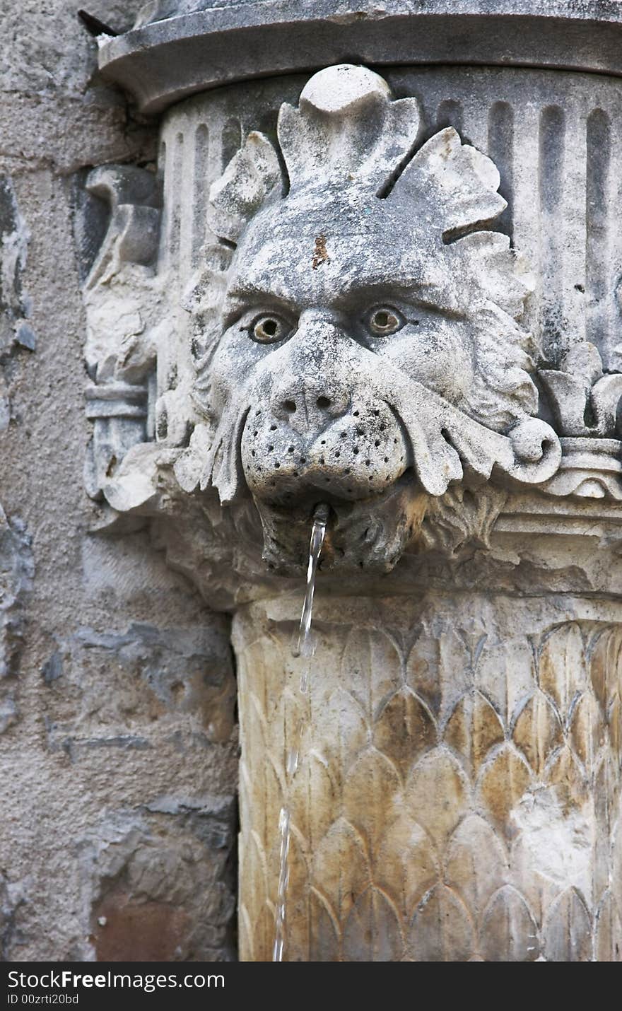 Lion Fountain In Dubrovnik