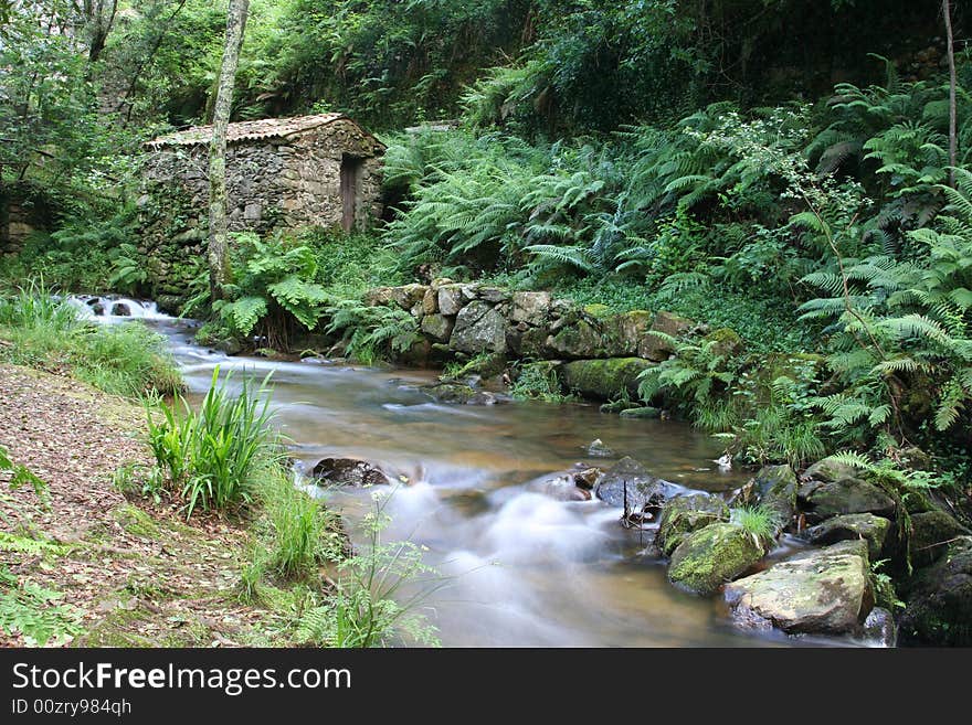 Falling Water