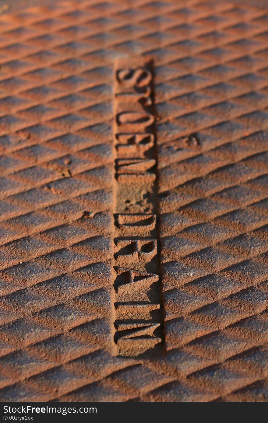 A close-up of a sewer drain cover.