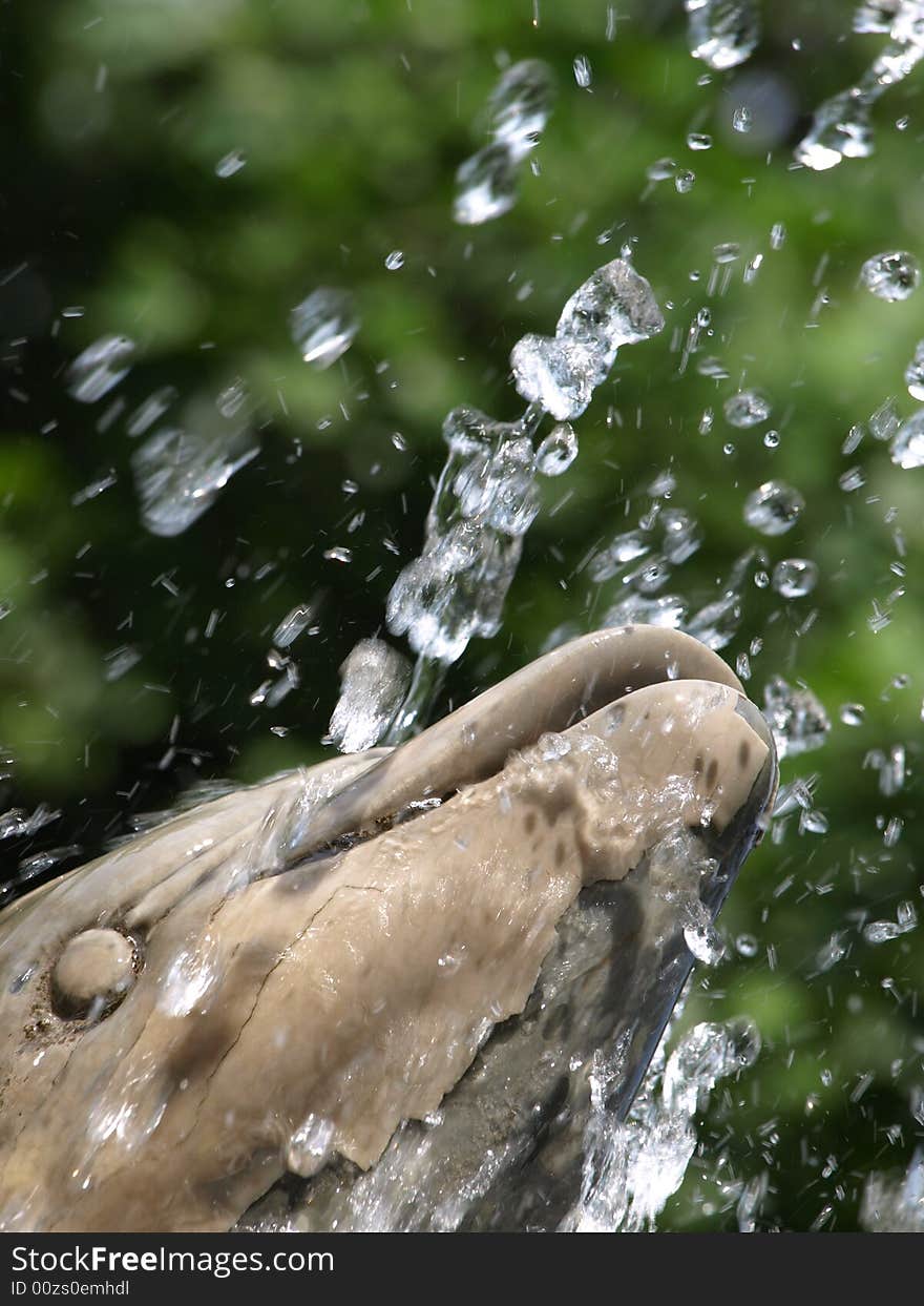 An original shot of a marble's dolphin of a fountain and the jet of water. An original shot of a marble's dolphin of a fountain and the jet of water