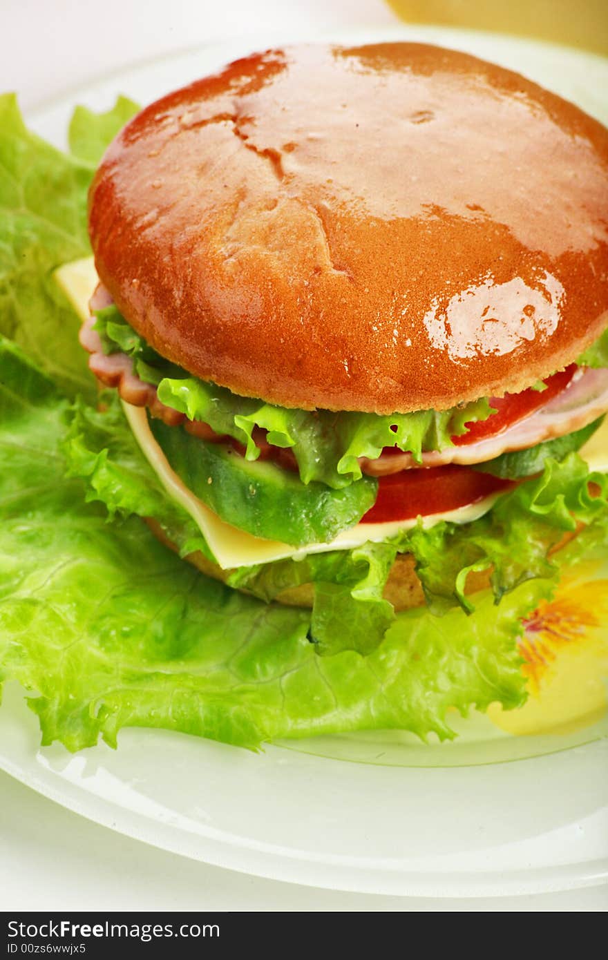 Natural form foods. Fast food. Shot in a studio. Natural form foods. Fast food. Shot in a studio.