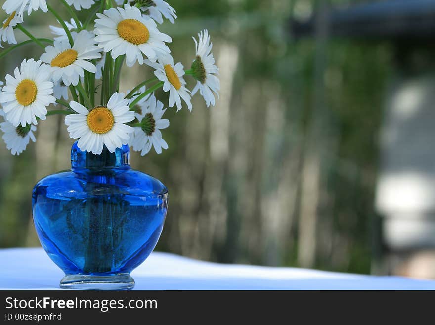 Bouquet of white daisies on table