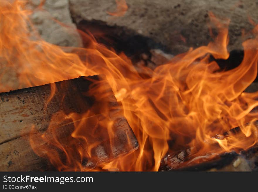 Burning wood in campfire flame