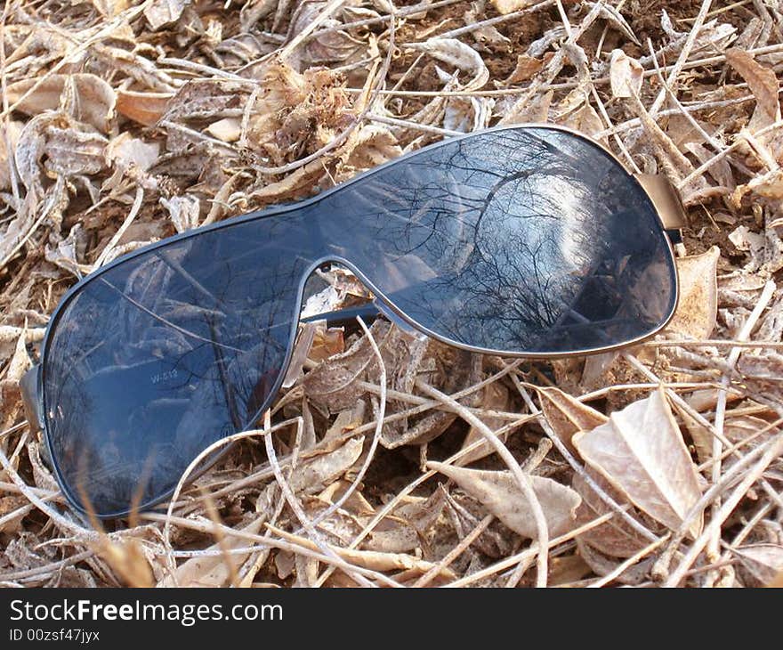 A pair of stylish sunglasses fallen on the dried leaves. A pair of stylish sunglasses fallen on the dried leaves