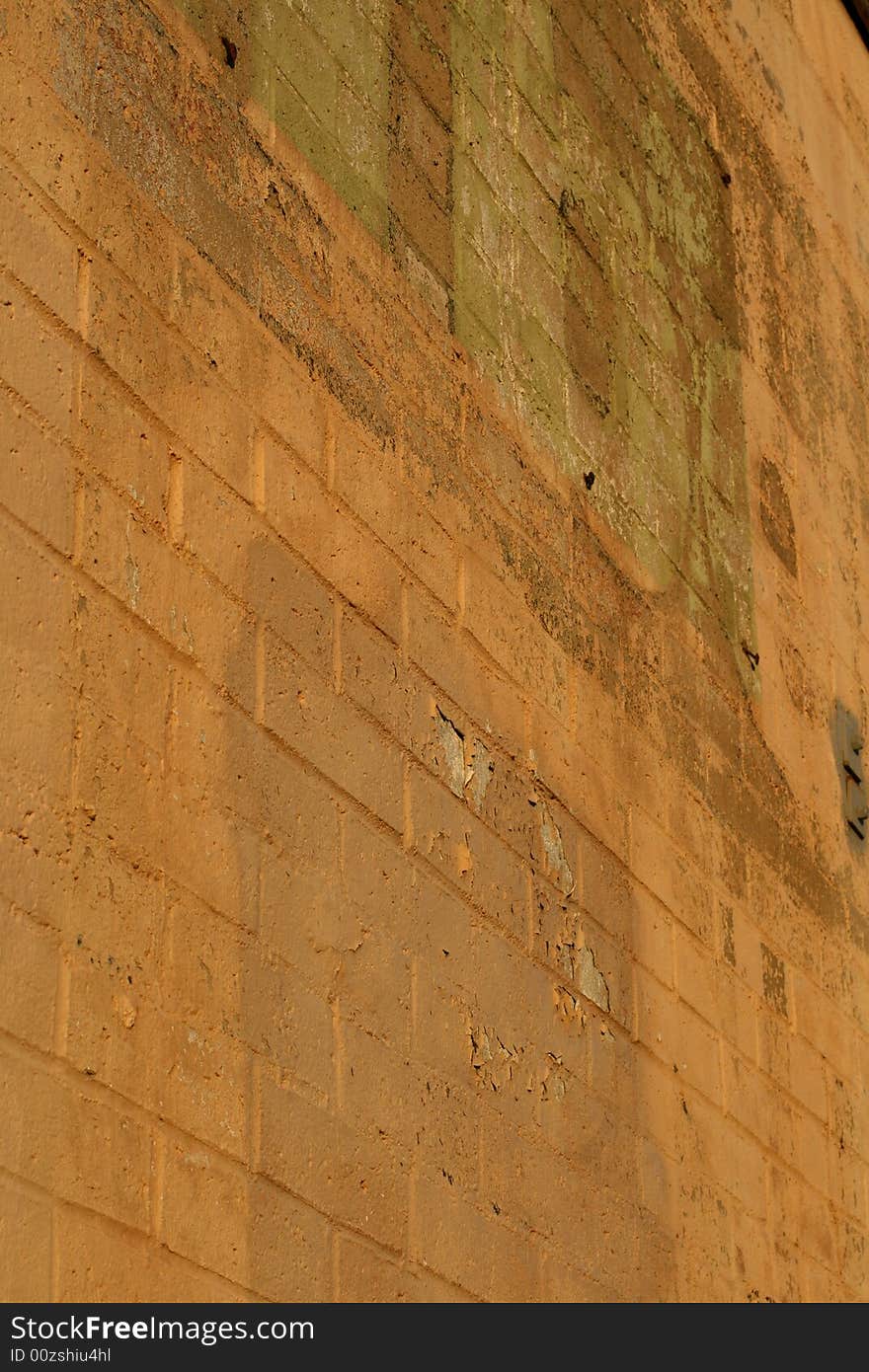 A shot of a brick wall.  A nice texture and pattern.