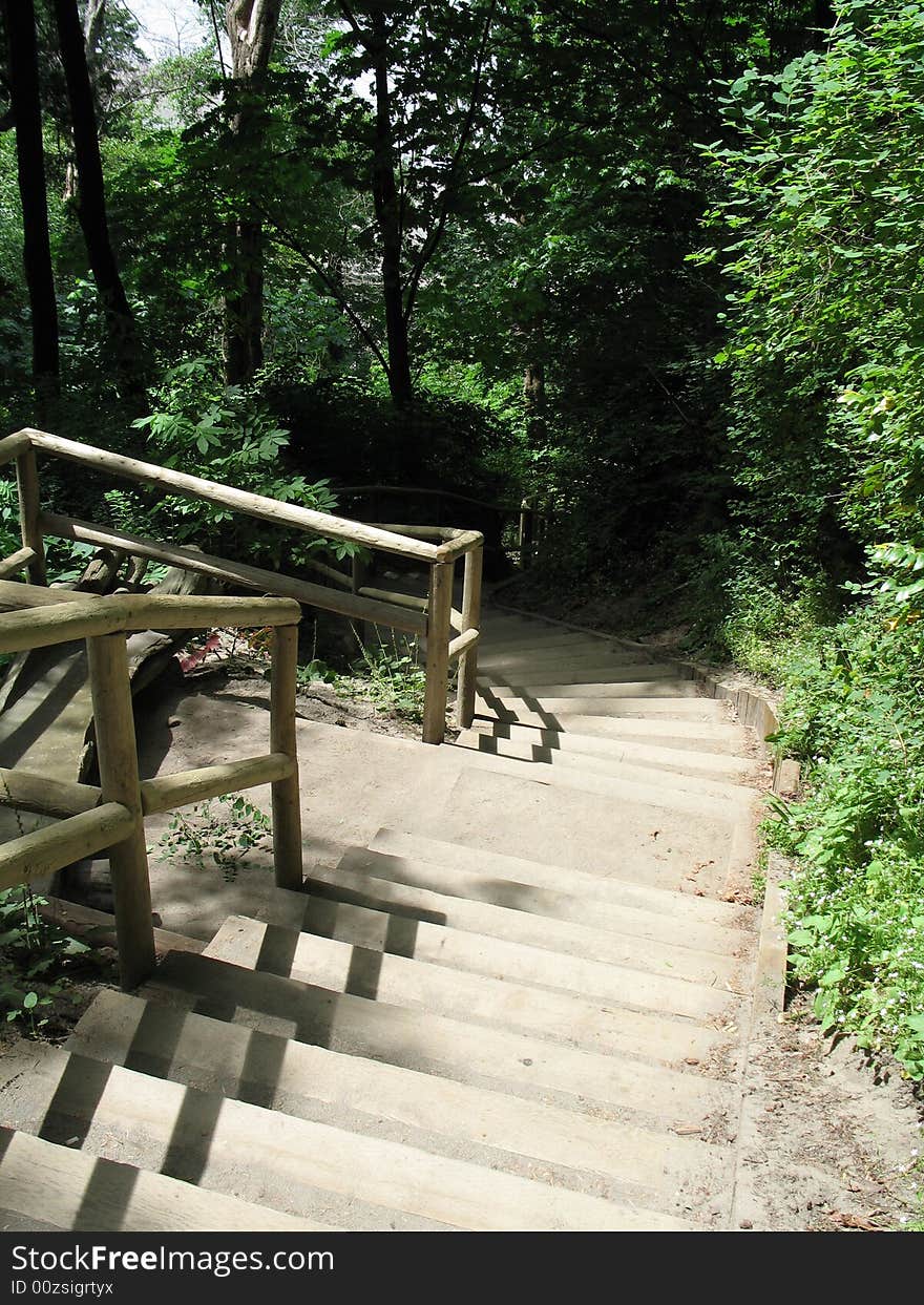 Sets of stairs down the forest