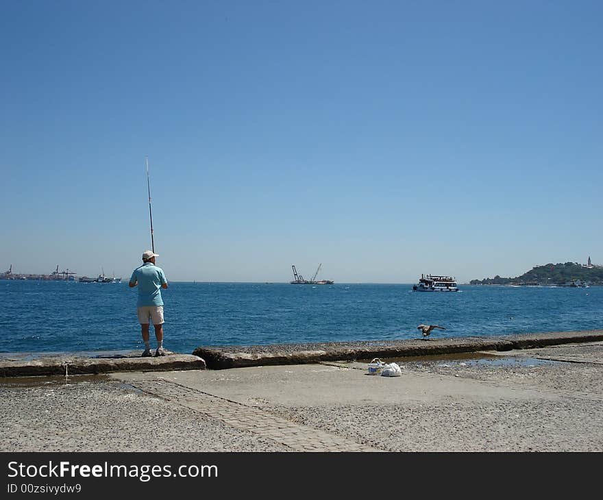 Fisherman and a gull in Istanbul