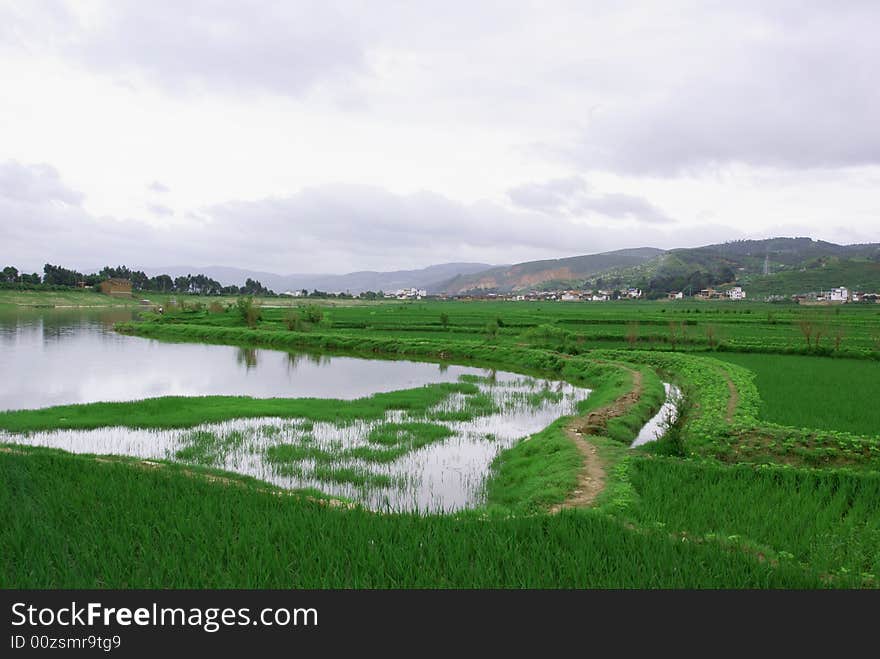 Wide field,beautiful natural environment,mountains,water,Crops.It is full of hope and vitality of the local. Wide field,beautiful natural environment,mountains,water,Crops.It is full of hope and vitality of the local.