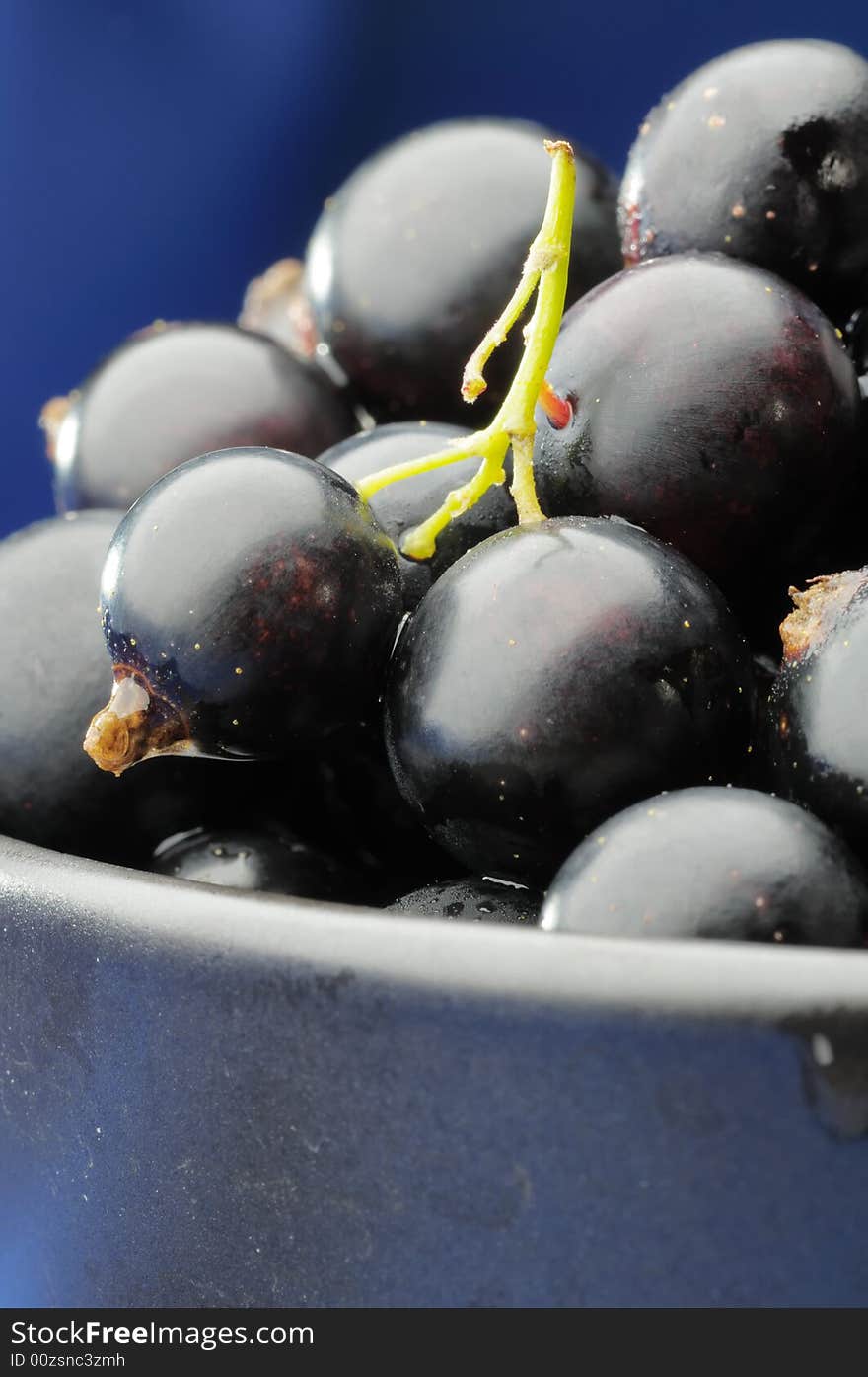 Black currants in the black bowl on the blue background. Narrow depth of field. Black currants in the black bowl on the blue background. Narrow depth of field.