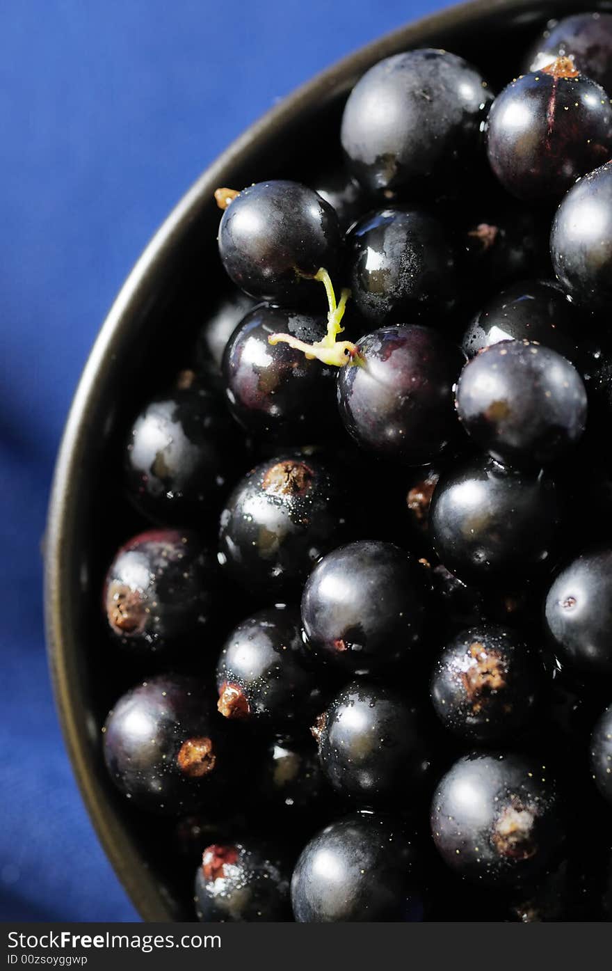 Black currants in the black bowl on the blue background. Narrow depth of field. Black currants in the black bowl on the blue background. Narrow depth of field.