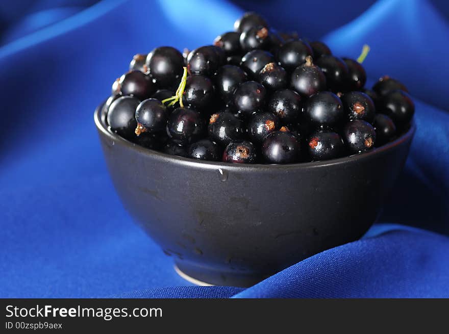 Black currants in the black bowl on the blue background. Narrow depth of field. Black currants in the black bowl on the blue background. Narrow depth of field.