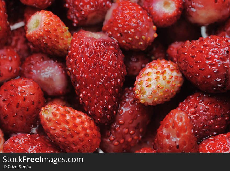 Wild strawberries. Narrow depth of field.