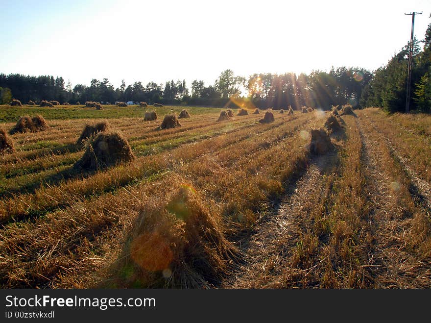 Meadows with small sheafs