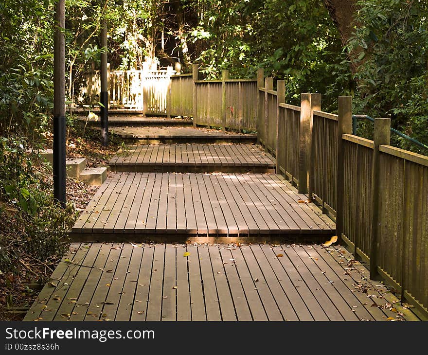 A boardwalk rising gently under an avenue of trees