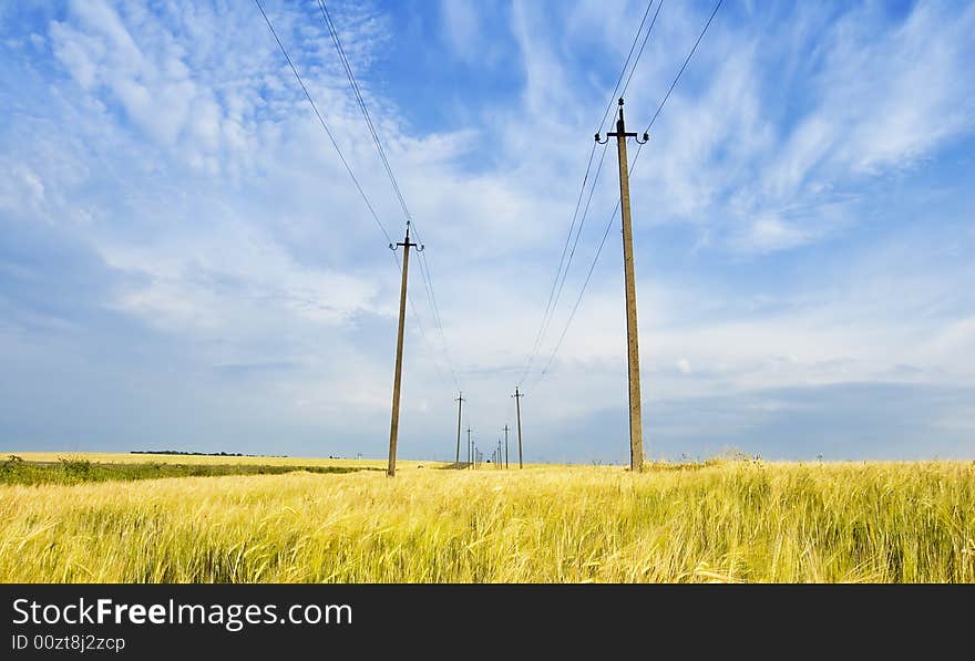 Field and powerlines - Russian landscape