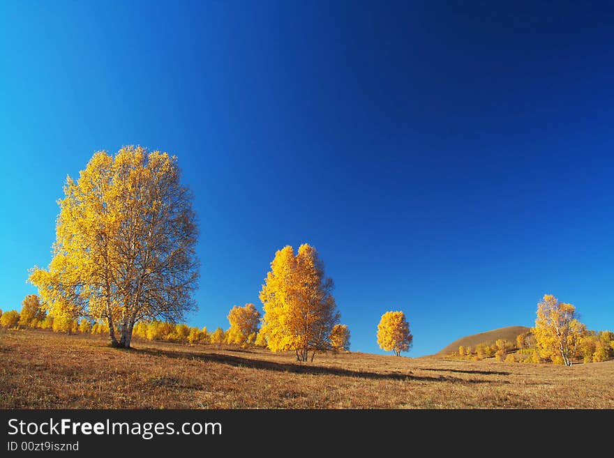 The autumn color is very beautiful