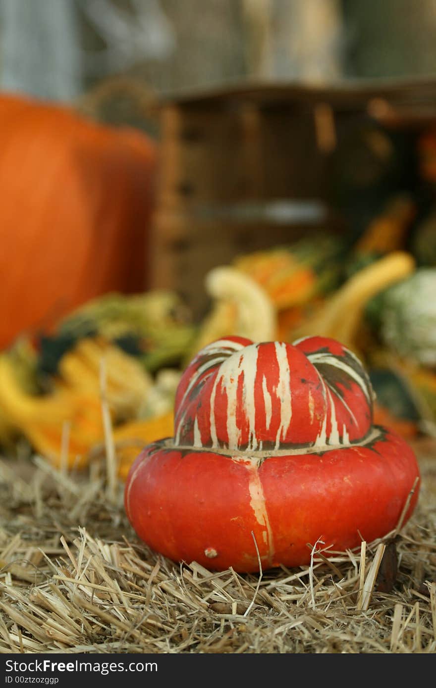 Pumpkin at Hallowing party as a decoration. Pumpkin at Hallowing party as a decoration