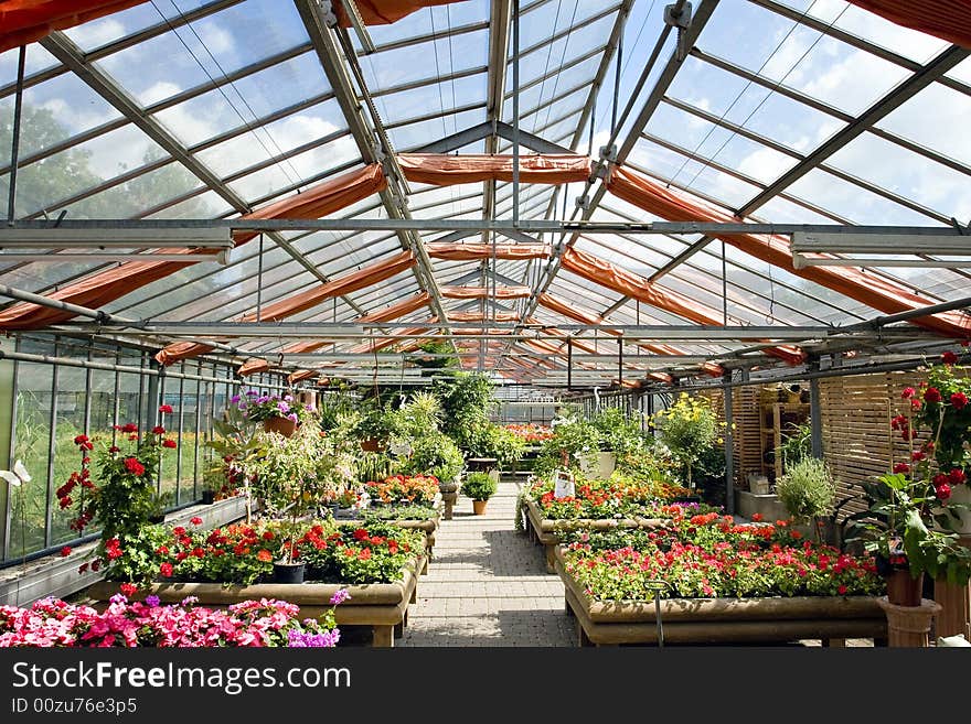 View of a market garden