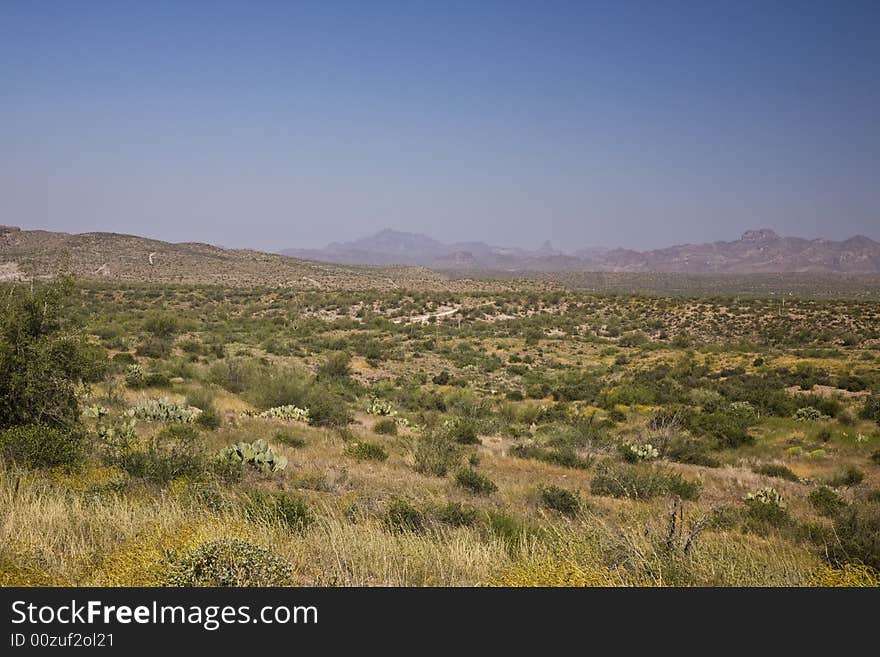 Desert wilderness southeast of Phoenix. Desert wilderness southeast of Phoenix