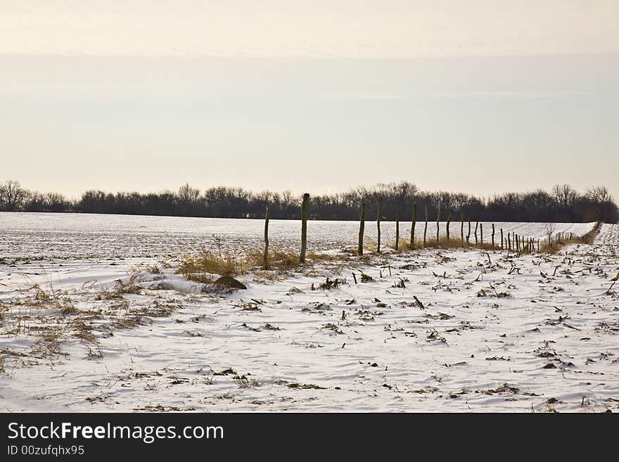 Fence Line