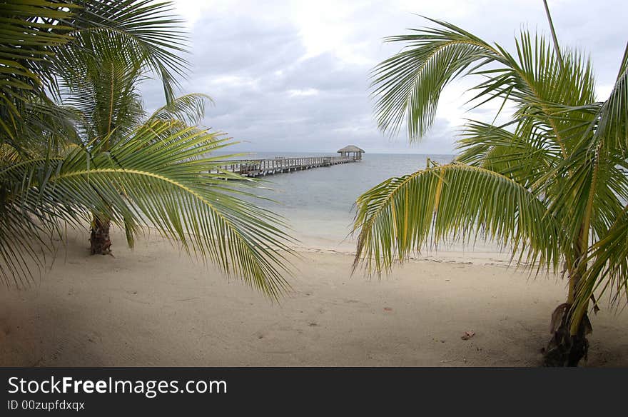 Tropical view of beach with a dock stretching out to sea. Tropical view of beach with a dock stretching out to sea