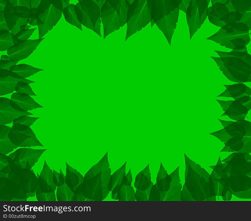 Green card with the image of leaves on edges. Green card with the image of leaves on edges