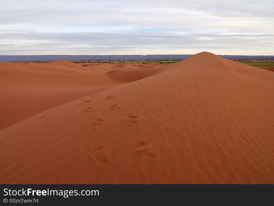 Footprints across sand dunes, photographed at dawn in the Sahara desert. Footprints across sand dunes, photographed at dawn in the Sahara desert.