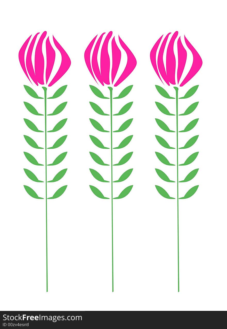 Vector illustration of three flower. Vector illustration of three flower