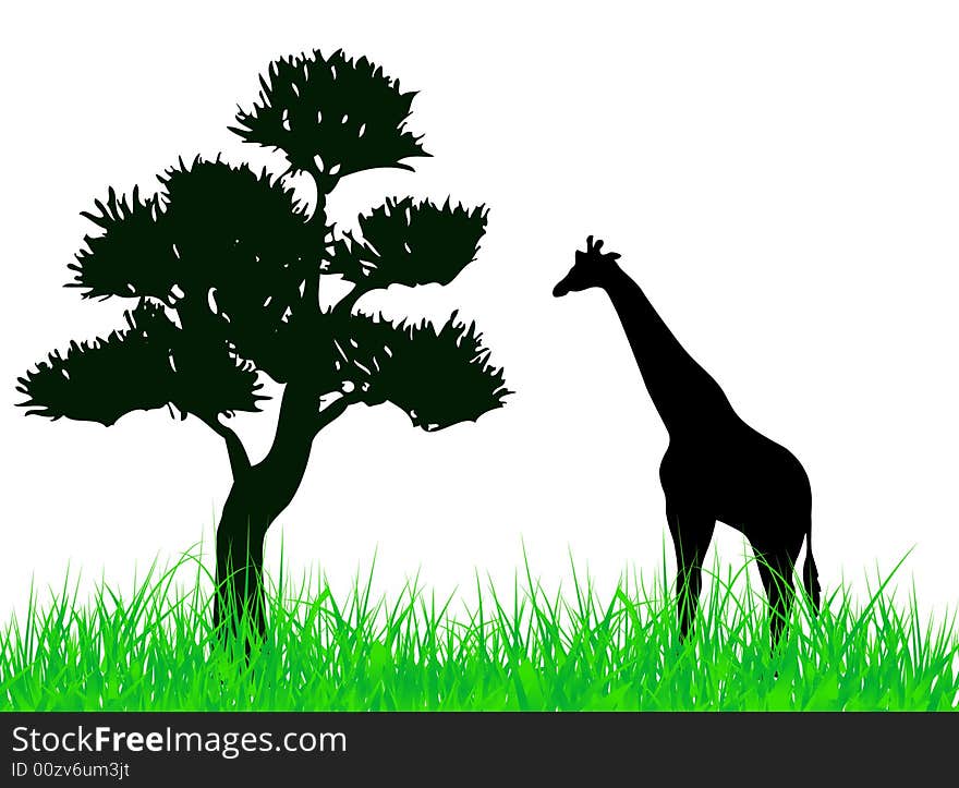 Giraffe on the grass illustration