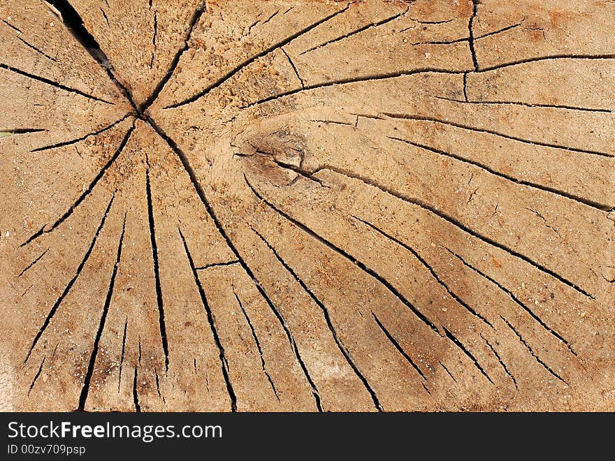 Wood texture