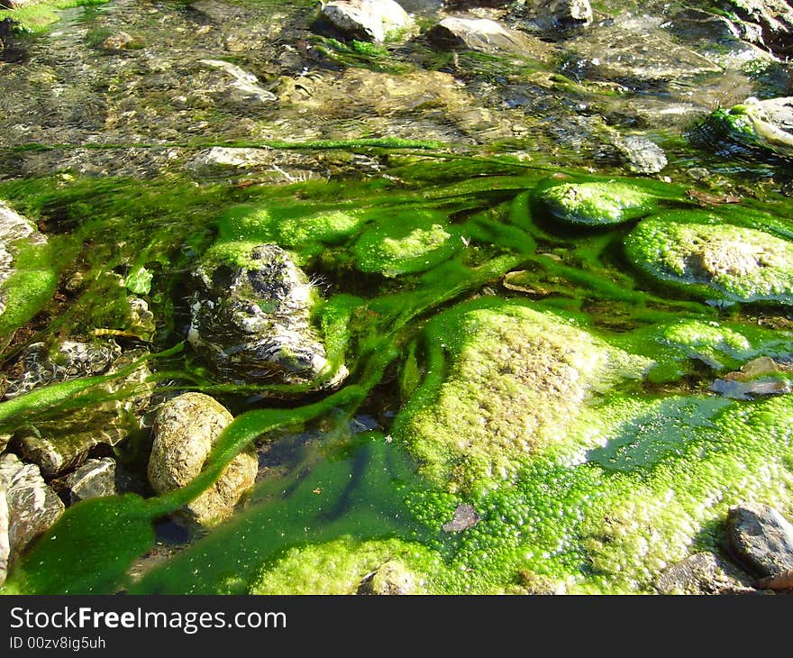 Green river in the sun