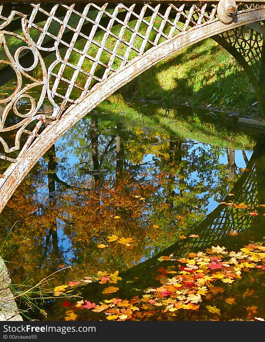 Fallen leaves in water under the bridge