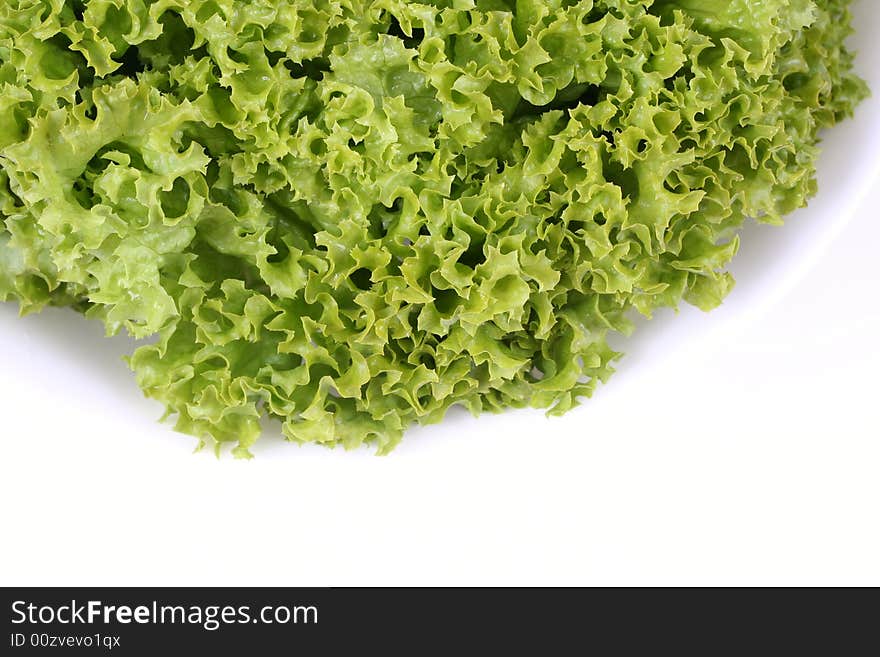 Fresh green lettuce on white background