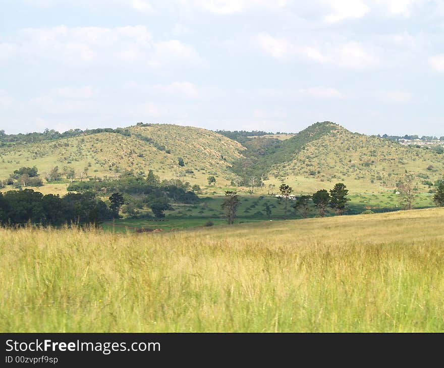 I took this picture at Krugersdorp Nature Reserve,South Africa. I took this picture at Krugersdorp Nature Reserve,South Africa.