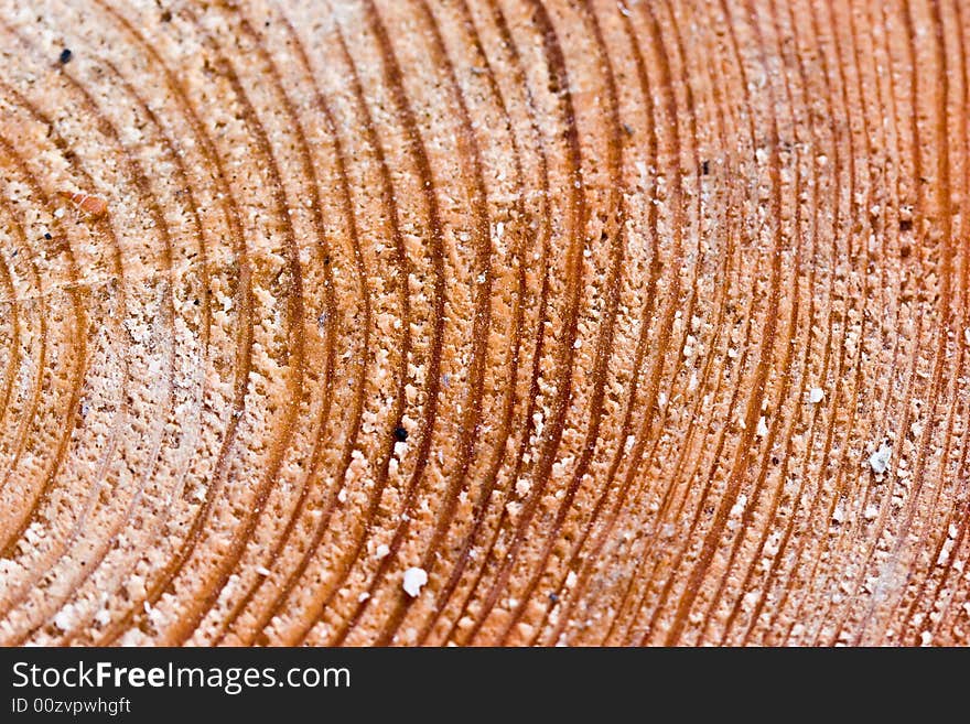 Texture series: fresh wooden cut background with circle. Texture series: fresh wooden cut background with circle